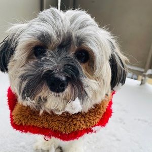 Meet your Posher, Tracy